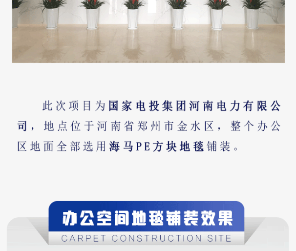 【海馬地毯工程案例】國家電投集團河南電力有限公司_05.gif